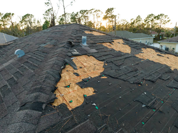 Best Chimney Flashing Repair  in Southport, IN